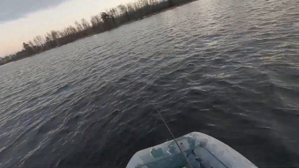 Закрытие сезона 2020. Как сэкономить при покупке снастей. BitBaits, ZENMARKET, DIGITAKA, PLAT и пр.