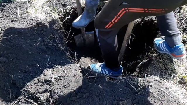 Ищем клад//Металлоискатель смотреть онлайн