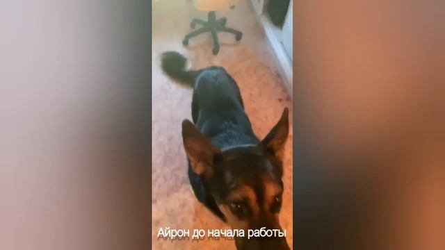 Отзыв. Личное наставничество | Радик Аксанов смотреть онлайн