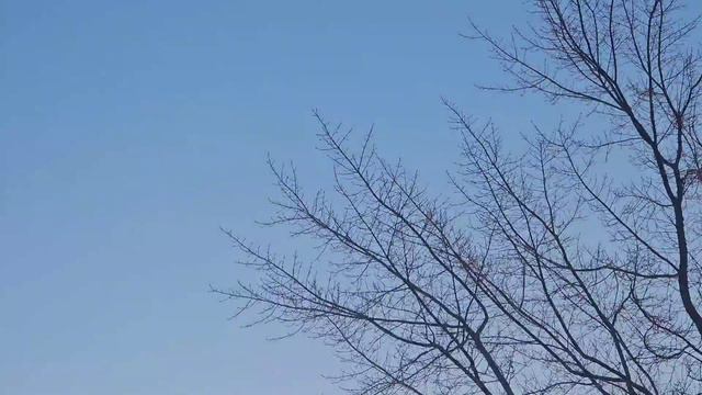 [SUB] February, the month of love 🌷 | Lunar new year✨️ | Valentine weekend 🍓🍞 | Life in the US смотреть онлайн