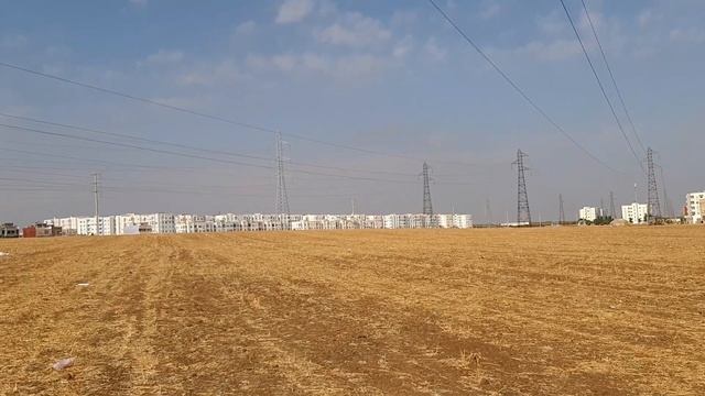 Выбор ЧАЯ в Марокко. Домой через поле. смотреть онлайн