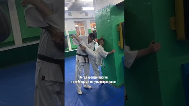 #шпагат #растяжка #киокушинпрофи смотреть онлайн