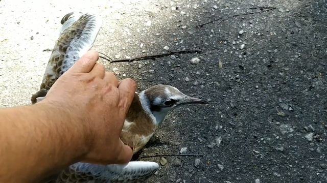 Природные Чудеса в 4K