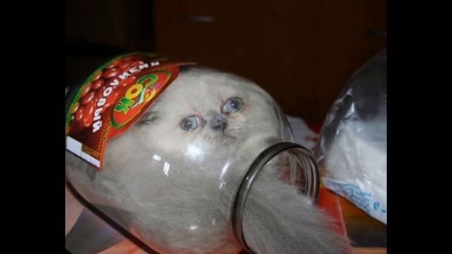 Здоровый образ жизни