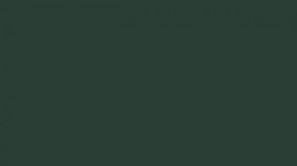 Celtic Screen Background #8k #2b3f36 #60fps