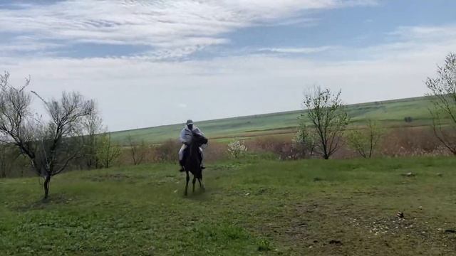 Как обучить коня за 4 дня смотреть онлайн