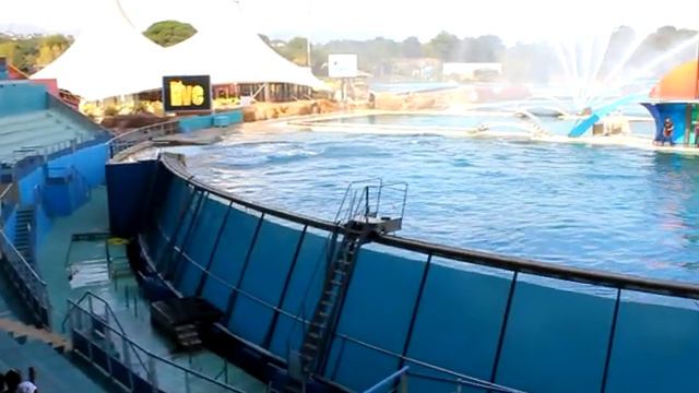 Orca show 2 (Marineland 2011) смотреть онлайн