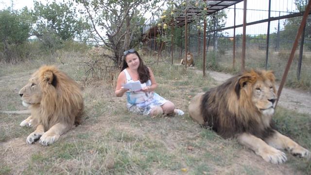 Анжелика Макарова читает свои стихи среди львов смотреть онлайн