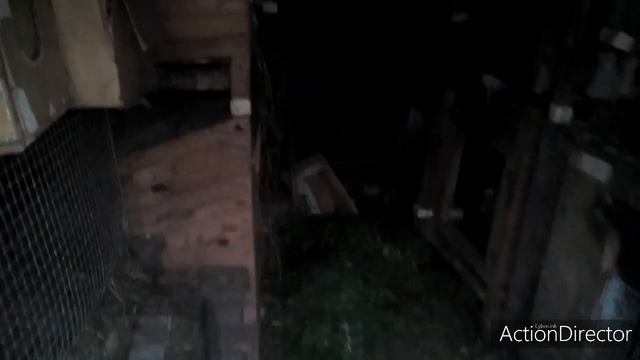 Жизнь в Сибири!Грядки пустеют ,печь идёт к завершению!Холод и сыро !???!!! смотреть онлайн