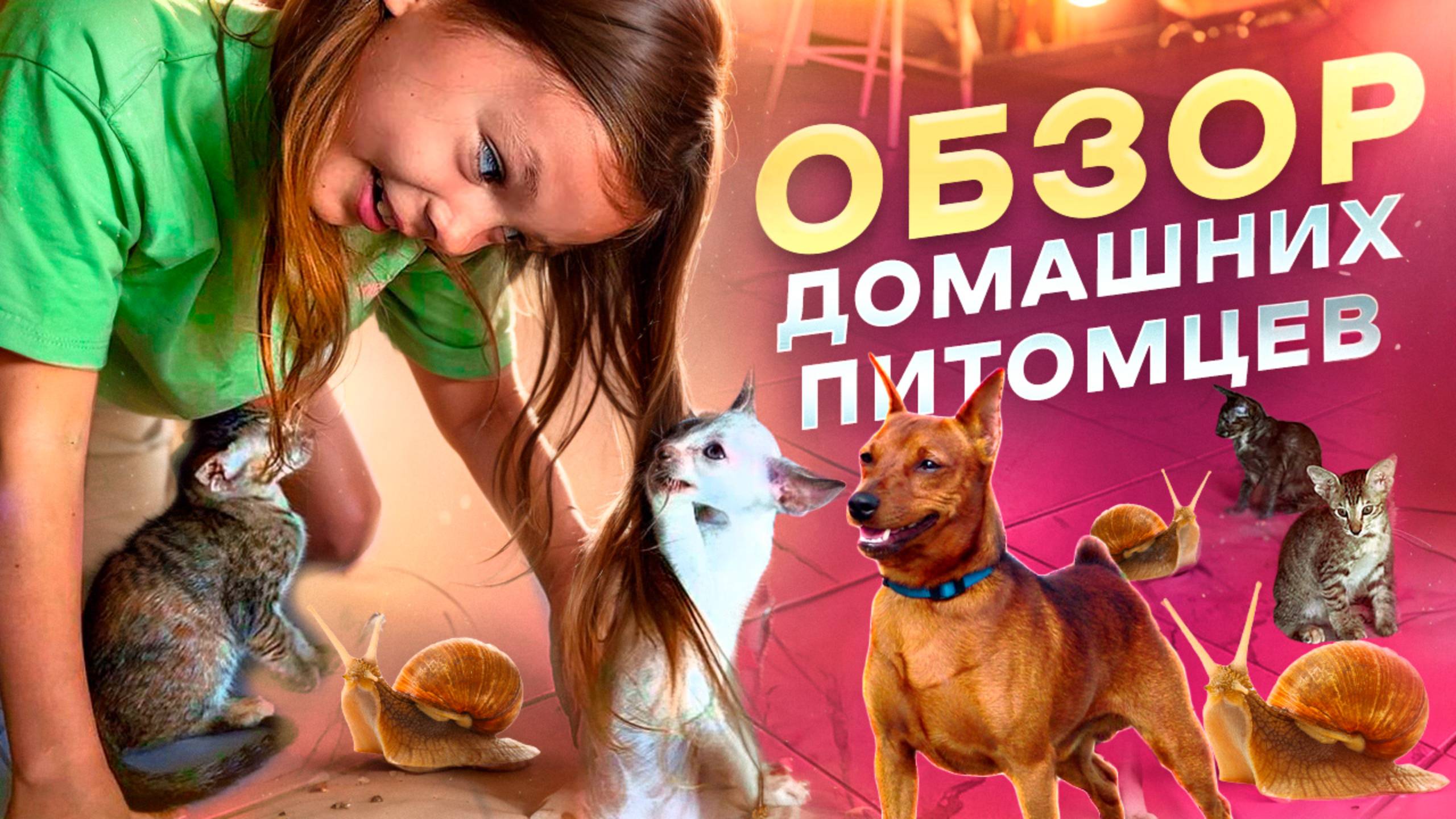 ДОМАШНИЕ ПИТОМЦЫ! В НАШЕМ ДОМЕ МНОГО ДОМАШНИХ ЖИВОТНЫХ, ДЕЛАЕМ ОБЗОР! смотреть онлайн