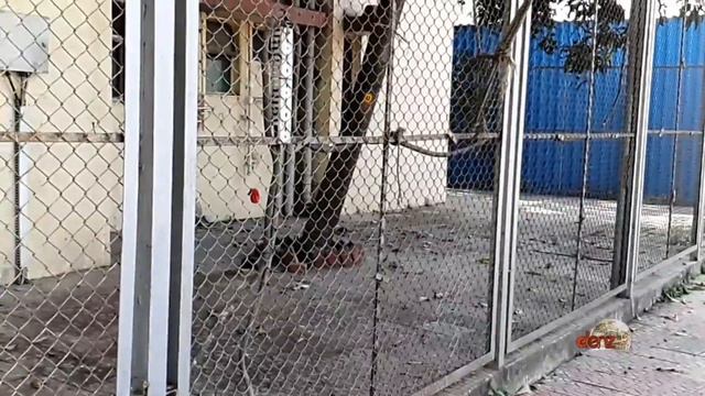 Samsung Galaxy S10 plus Super Slow Motion video Compilations at 960 fps смотреть онлайн