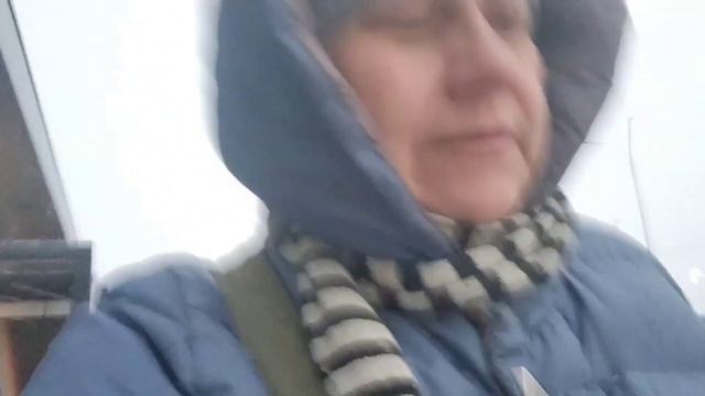 Шпатели и валик для нанесения шпаклёвки , покупка смотреть онлайн