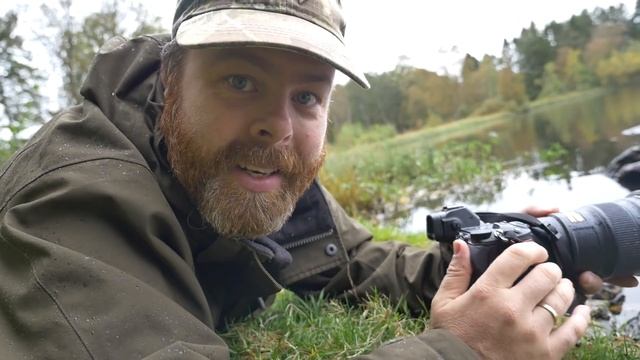Testing the Nikon Z6 & Nikon 300mm f/4 PF | WILDLIFE PHOTOGRAPHY смотреть онлайн