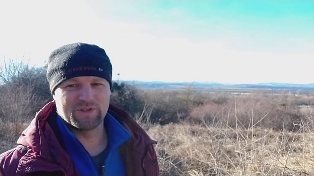 5 правил быстрого восстановления организма после новогодних праздников смотреть онлайн