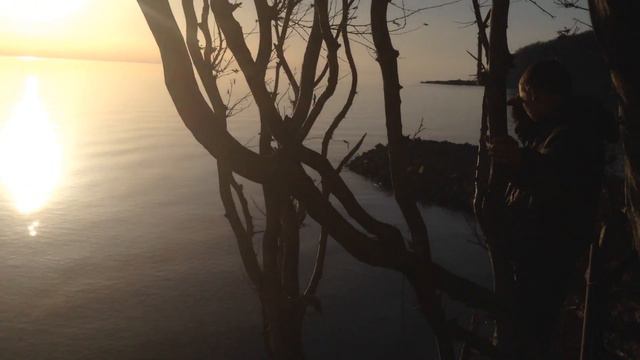 Побережье чёрного моря смотреть онлайн