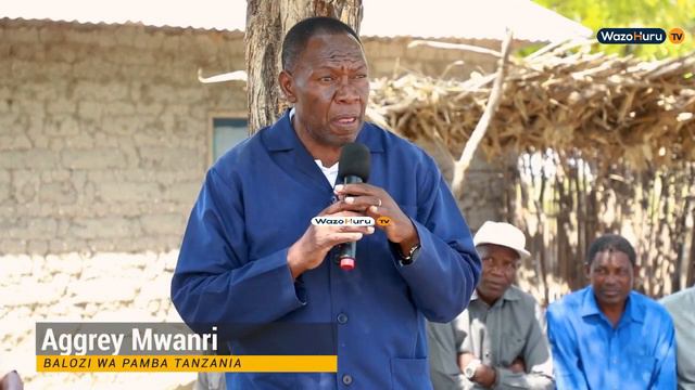 MAKALA; BALOZI WA PAMBA NDG AGGREY MWANRI AKIBAINISHA MKAKATI WA KUONGEZA TIJA KATIKA ZAO LA PAMBA смотреть онлайн