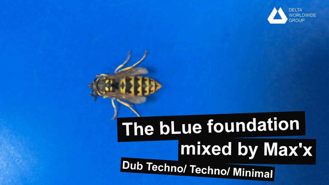 The bLue foundation - Mixed by Max'x