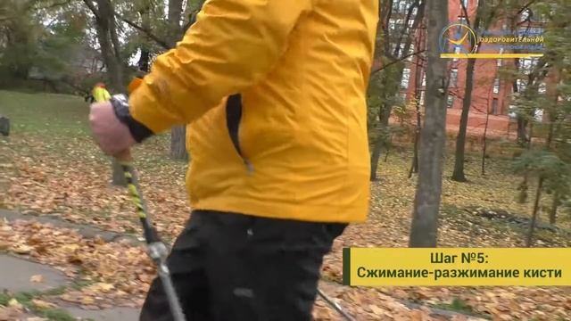 Правильная техника - скандинавская ходьба смотреть онлайн