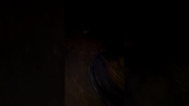 мы в Прип'яти и нам нечего делать смотреть онлайн