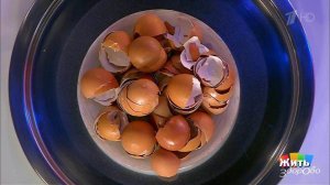 Съедобные отходы. Яичная скорлупа. Жить здорово! Фрагмент выпуска от 25.04.2016