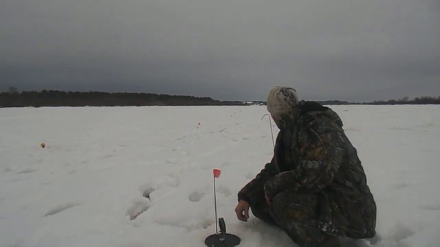 За щукой на жерлицы Дельта Сев Двины, район дер Подборка февраль 2019 смотреть онлайн