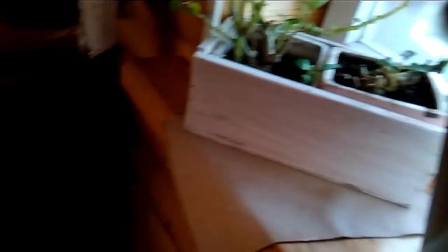 Маринуем индейку для духовки,утро! смотреть онлайн