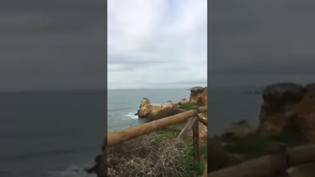 Бизнес в Португалии