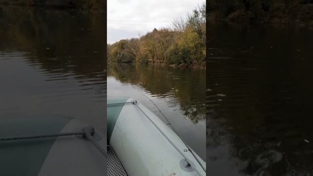 камплект лотка ракета 330 и мотор HDX 5 смотреть онлайн