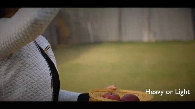 Math & Science Week | Naturalistic Intelligence |Gardner's Multiple Intelligence Theory смотреть онлайн