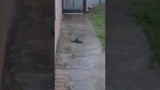 Тайлер Дёрден