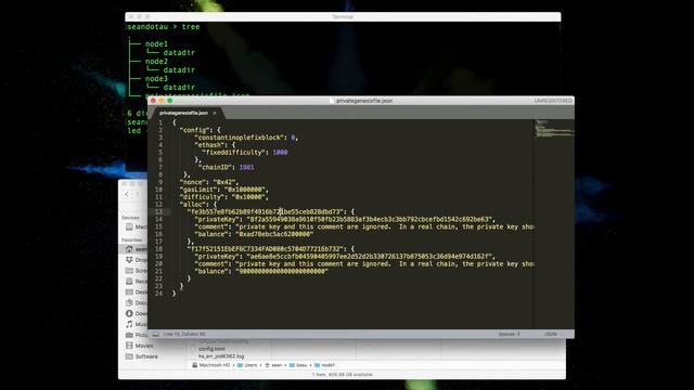 3.0 CREATING A PRIVATE NETWORK b) 3 nodes part III Starting the bootnode смотреть онлайн