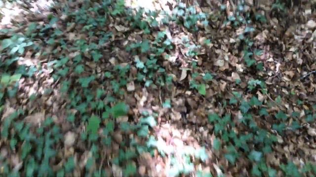 Ancient Merovingian cemetery in the North of France, located close to Stenay. смотреть онлайн