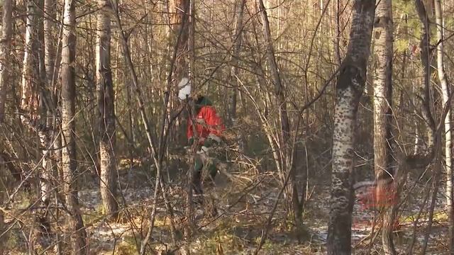 Если не мы, то кто Студенческий десант Братска принял участие в экологической акции по очистке леса смотреть онлайн