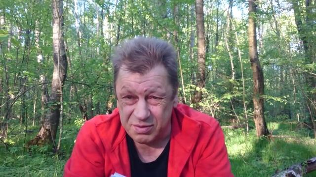 КАК СДЕЛАТЬ ИЗ СОБАКИ УБИЙЦУ?ДРЕССИРОВКА И ВОСПИТАНИЕ РОТВЕЙЛЕРА. смотреть онлайн