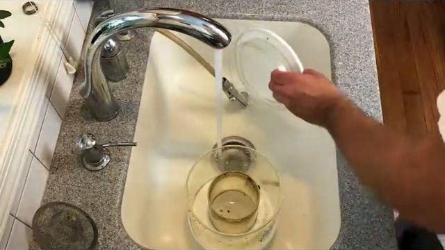 Cleaning Protein Skimmer Cup смотреть онлайн