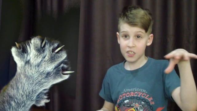 Почему кошка может видеть в темноте смотреть онлайн