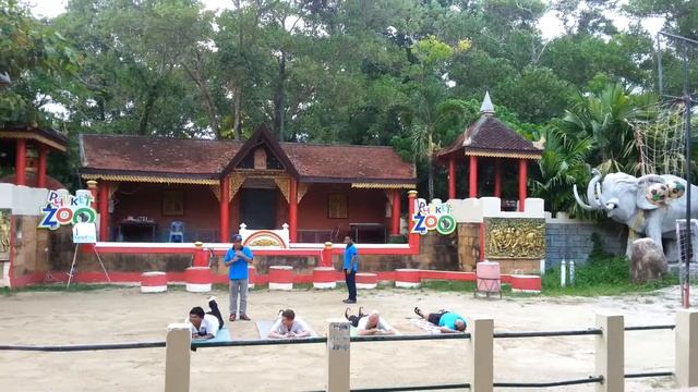 Шоу слонов в зоопарке Пхукета. смотреть онлайн