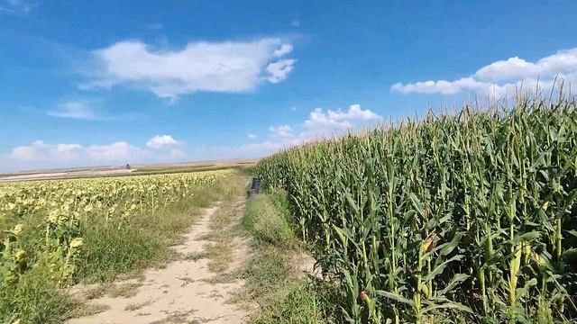 МОЙ ДЕНЬ В ДЕРЕВНЕ! НАВЕСТИЛ РОДИТЕЛЕЙ - МОИ СТАРЫЕ ФОТОГРАФИИ - ЧТО ЕДЯТ В ДЕРЕВНЕ #влог смотреть онлайн