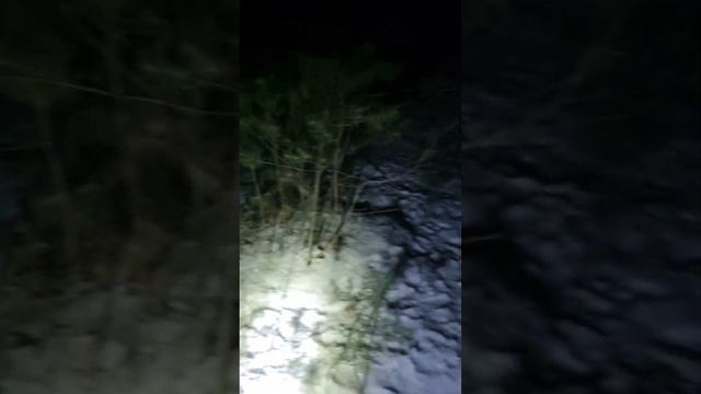 БЕЗДОМНЫЕ ЖИВОТНЫЕ ИЛИ БИЗНЕС НА ЖАЛОСТИ. смотреть онлайн