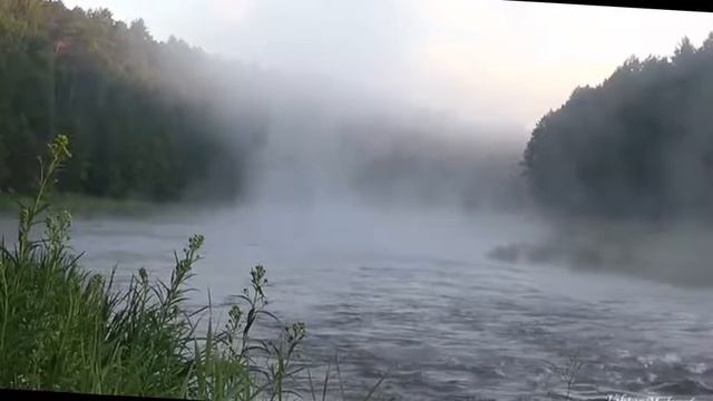 Мой туман...Природа.Стих смотреть онлайн