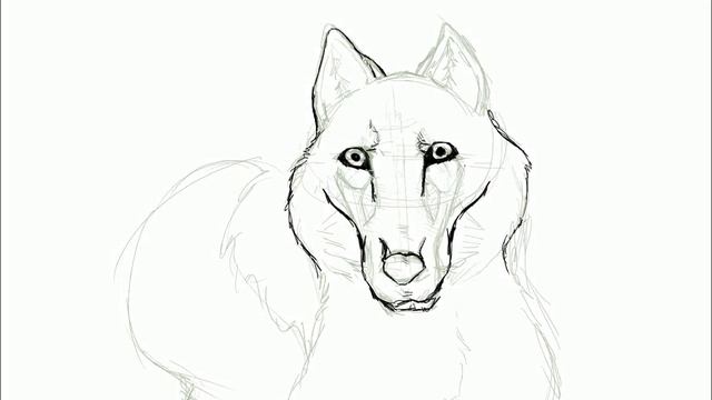 quick wolf sketch! смотреть онлайн