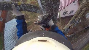 Приехали спилить дерево возле частного дома