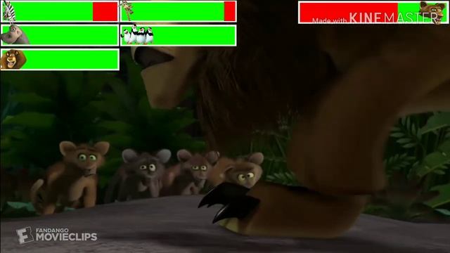 Madagascar Fossa Fight with healthbars смотреть онлайн