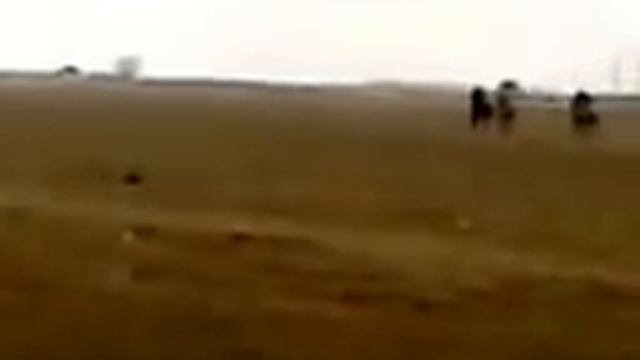 СКАЧКИ В РИКВАНИ КУТАНЕ