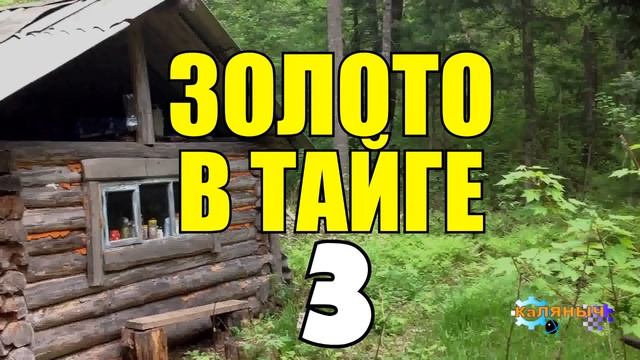0889 - БОМЖИ В ТАЙГЕ _ ЗИМОВЬЕ ШАЛАШ _ БОЛЬШАЯ ШИШКА И ЗОЛОТО 3 из 4.mp4 смотреть онлайн