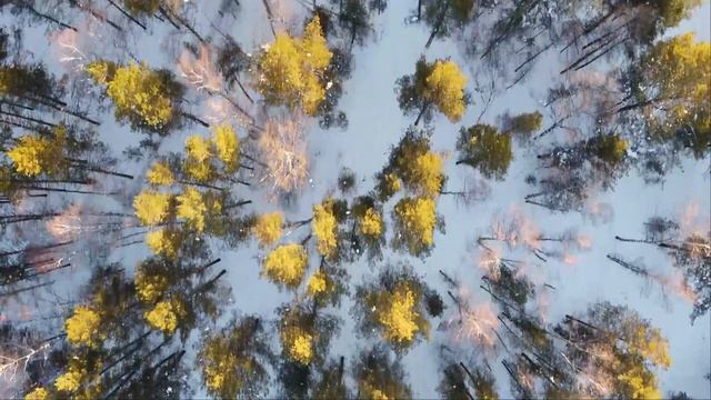 База отдыха Лапландия смотреть онлайн