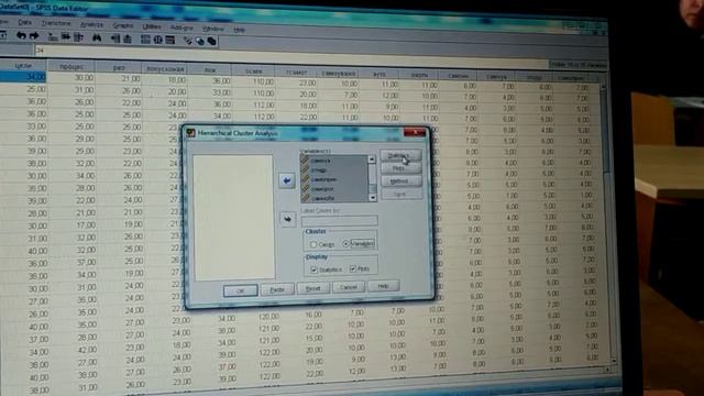 SPSS 13 кластерный анализ смотреть онлайн