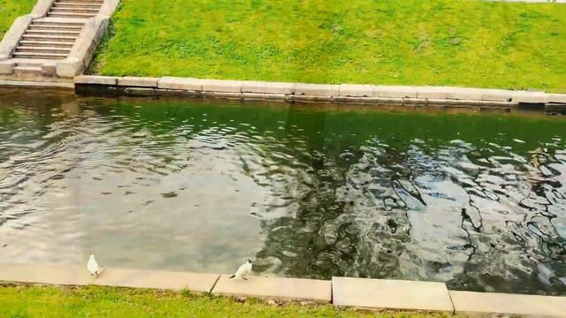 Петергоф смотреть онлайн