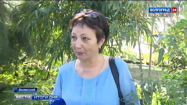 Активисткам Волжского подарили экскурсию в ботанический сад смотреть онлайн