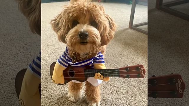 Сколько может длится карантин ! ! ! смотреть онлайн